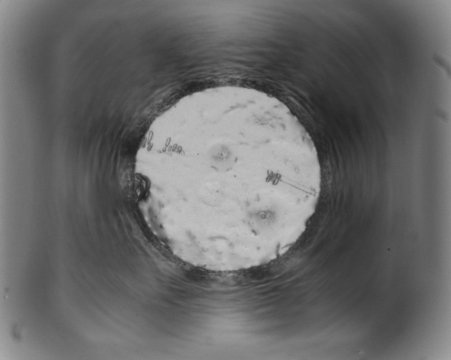 X0000099430527200806061022