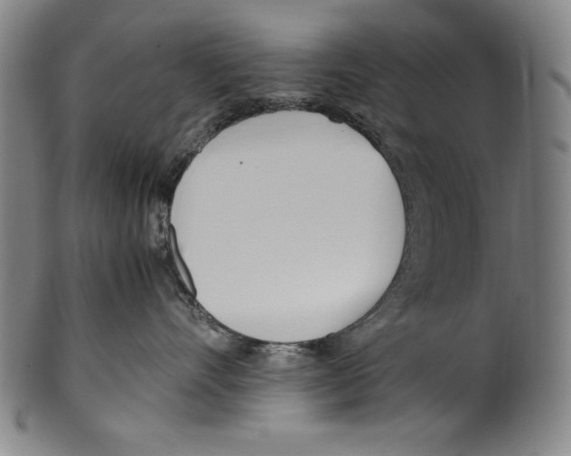 X0000099430528200806061022