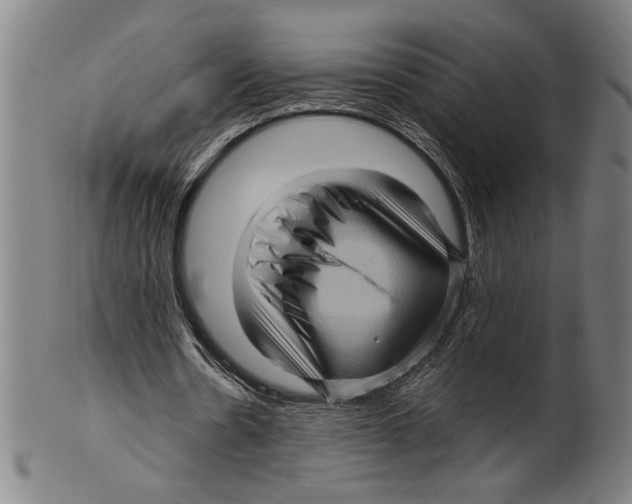 X0000099430530200806061022