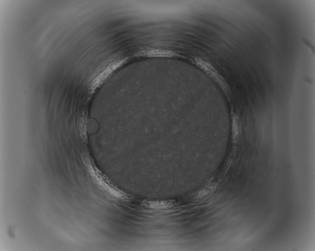 X0000099430533200806061022