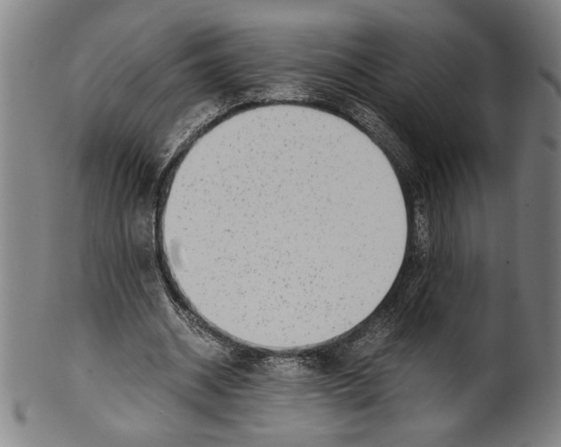 X0000099430534200806061022