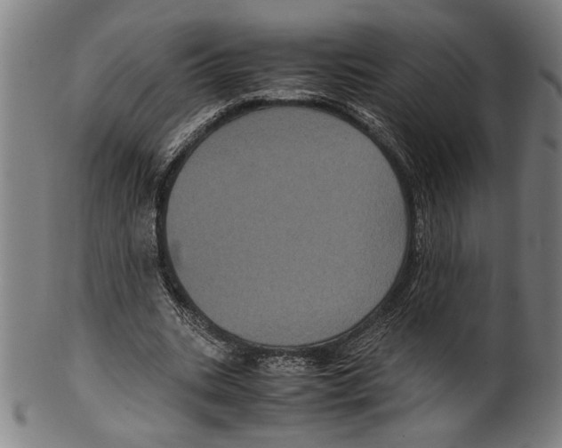 X0000099430535200806061022