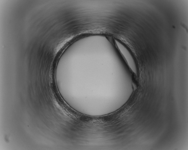 X0000099430536200806061022