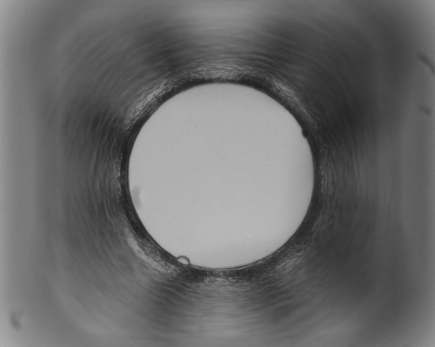 X0000099430538200806061022