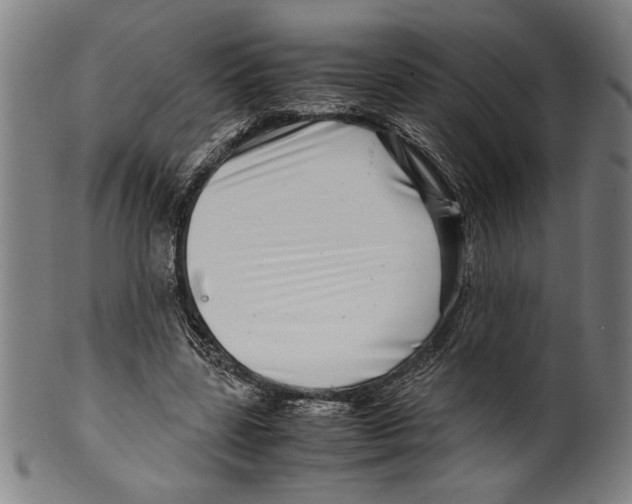 X0000099430539200806061022