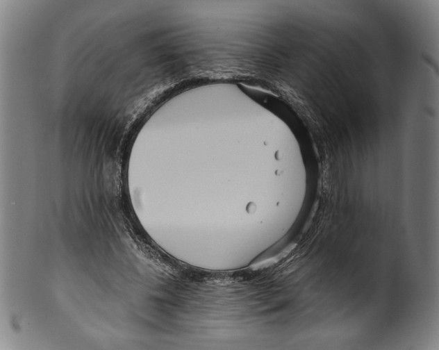 X0000099430540200806061022