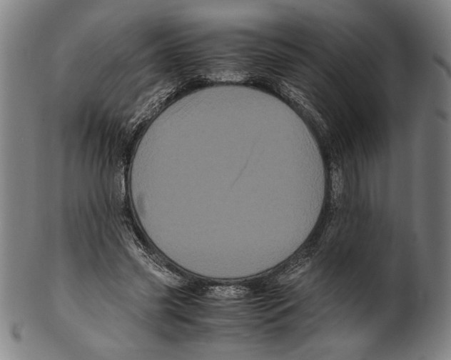 X0000099430541200806061022