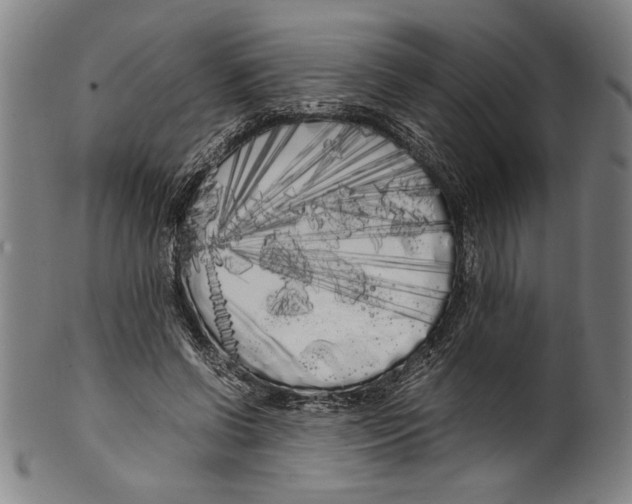 X0000099430542200806061022