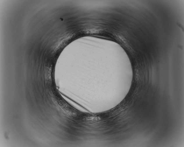 X0000099430543200806061022