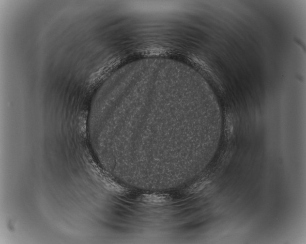 X0000099430545200806061022