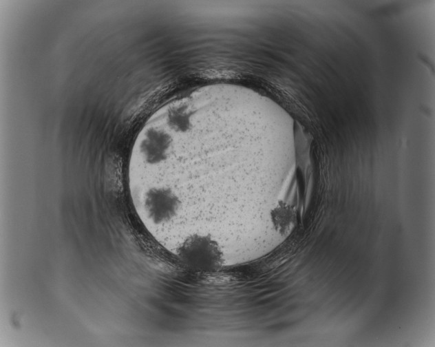 X0000099430547200806061022