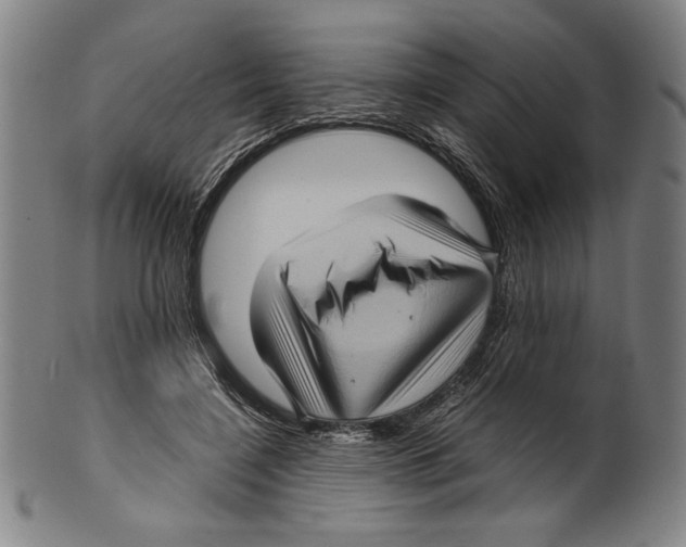 X0000099430548200806061022