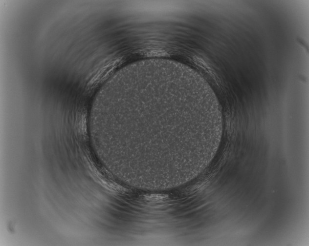 X0000099430549200806061022