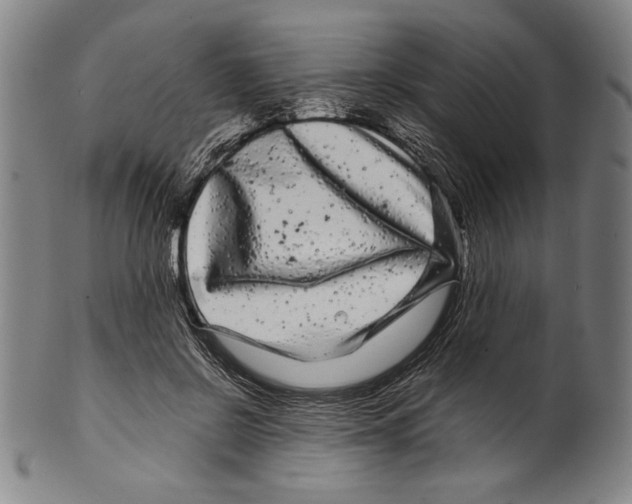 X0000099430550200806061022