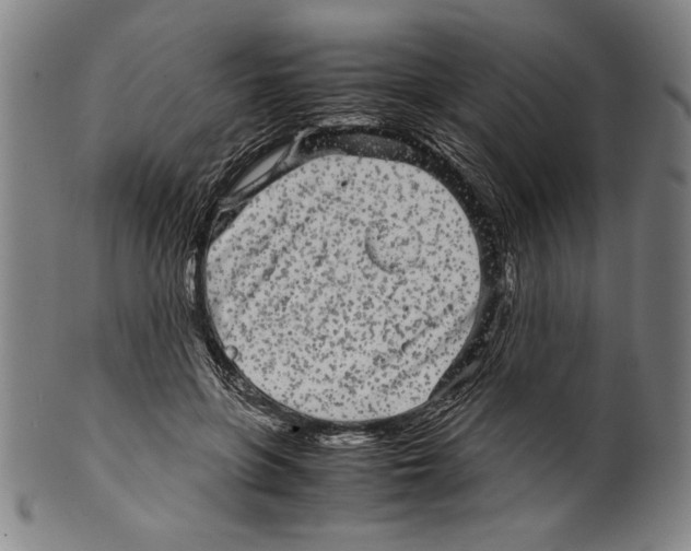 X0000099430551200806061022