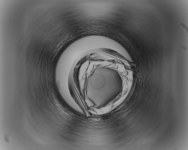 X0000099430552200806061022