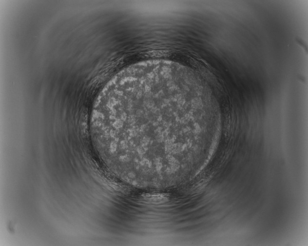 X0000099430553200806061022