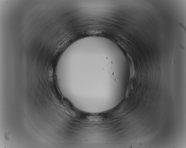 X0000099430556200806061022