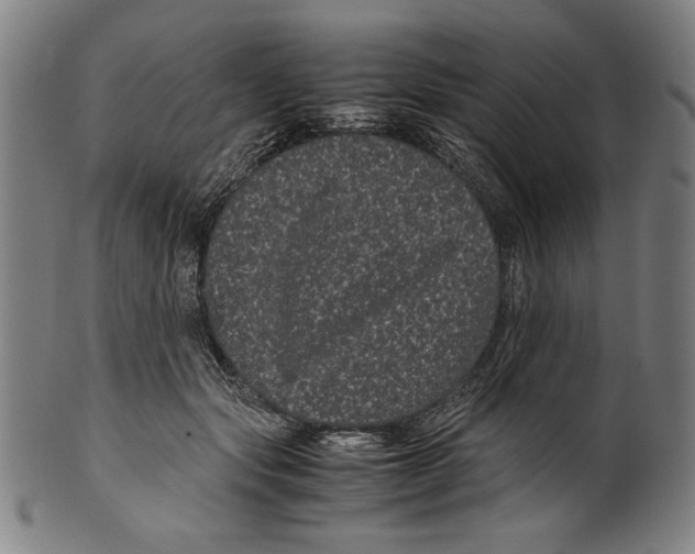 X0000099430557200806061022