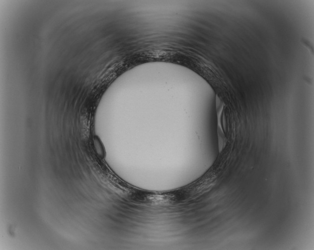 X0000099430558200806061022