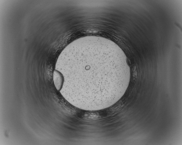 X0000099430559200806061022