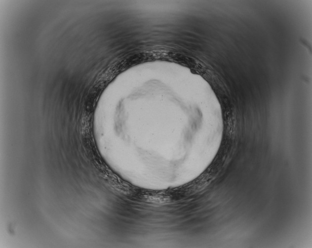 X0000099430561200806061022