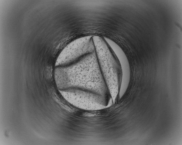 X0000099430563200806061022