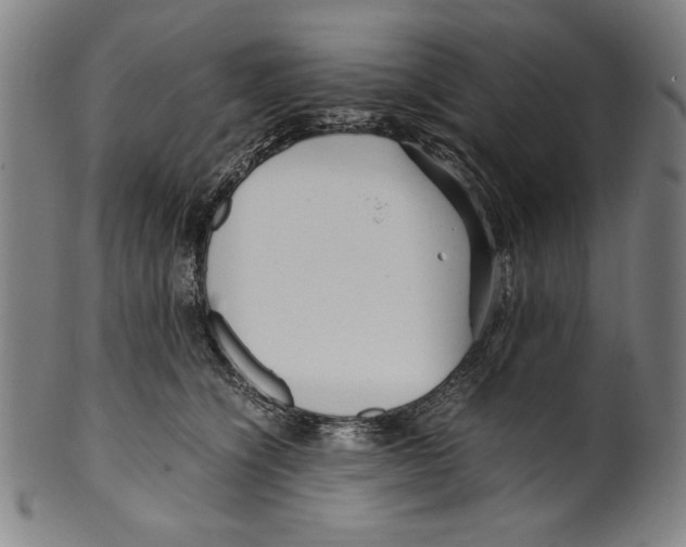 X0000099430564200806061022