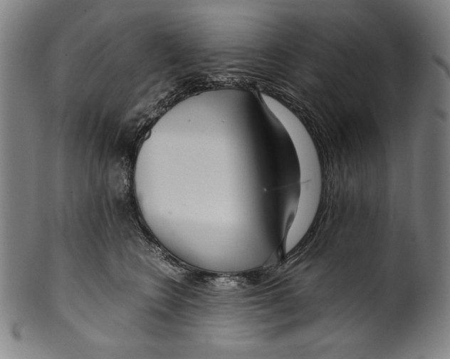 X0000099430566200806061022