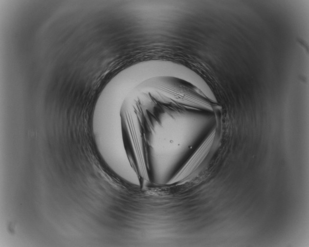 X0000099430568200806061022