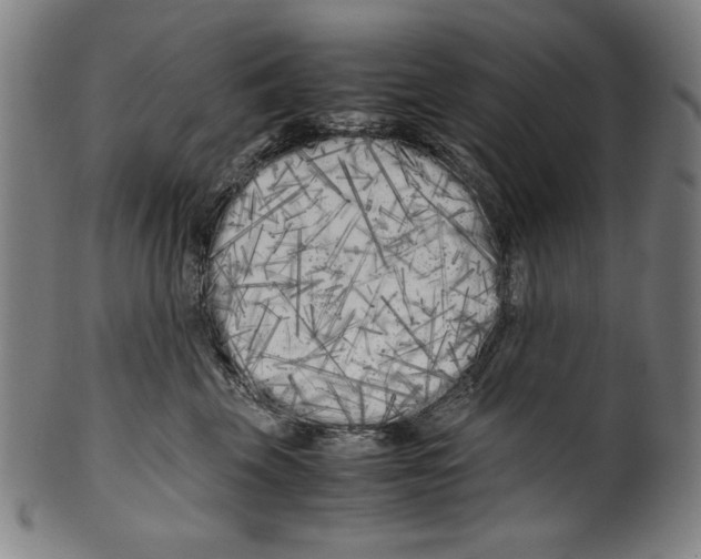 X0000099430569200806061022