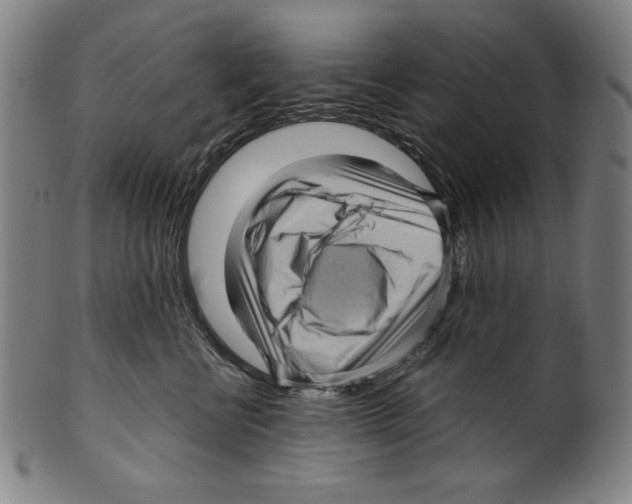 X0000099430570200806061022