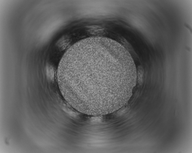 X0000099430574200806061022