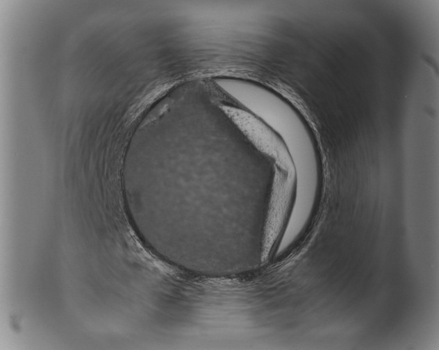 X0000099430577200806061022