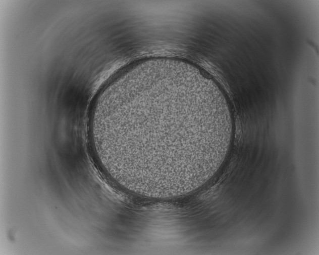 X0000099430578200806061022