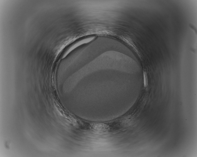 X0000099430579200806061021