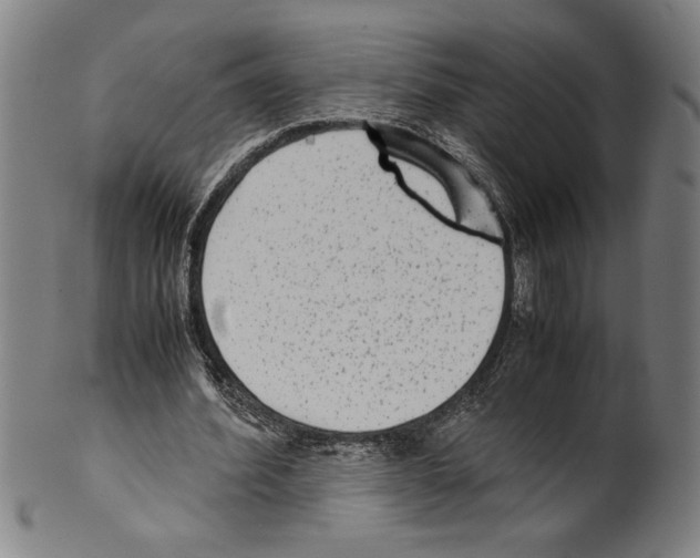 X0000099430580200806061021