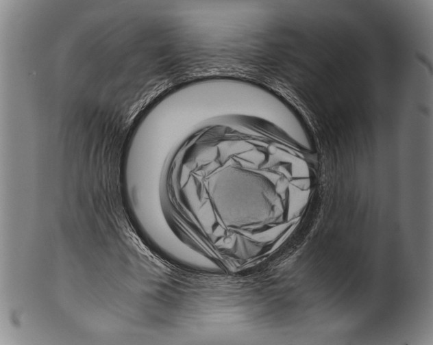 X0000099430585200806061021