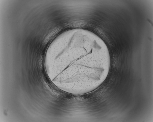 X0000099430586200806061021