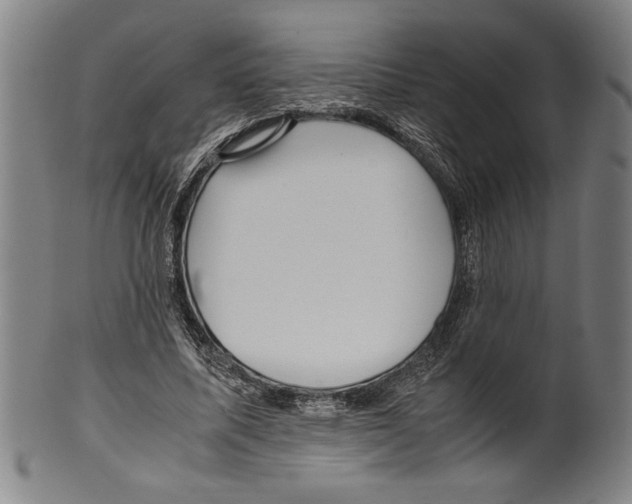 X0000099430587200806061021