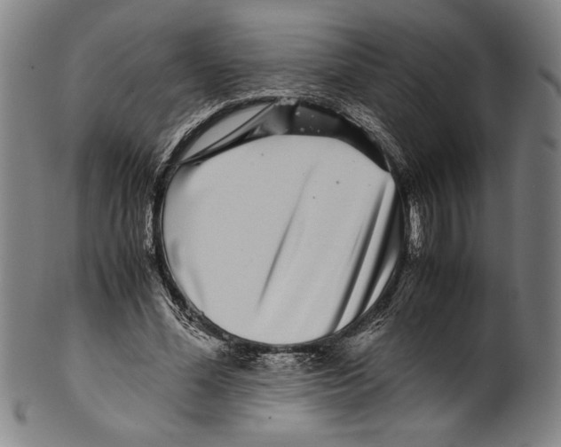 X0000099430588200806061021