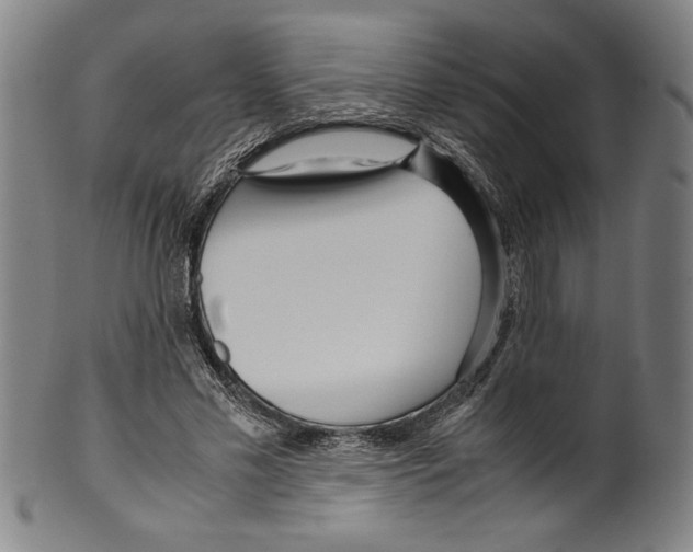 X0000099430589200806061021