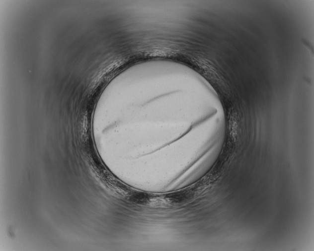 X0000099430591200806061021