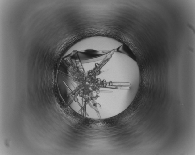 X0000099430594200806061021