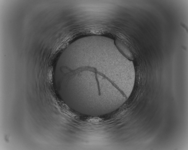 X0000099430595200806061021