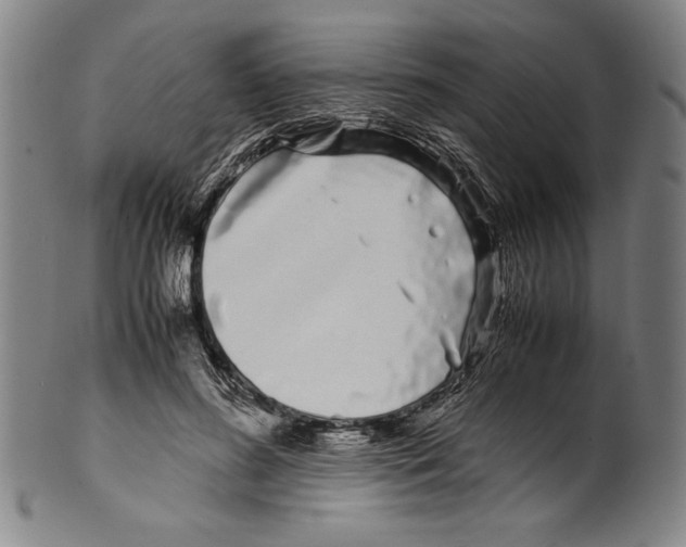 X0000099430596200806061021