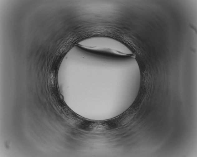 X0000099430597200806061021