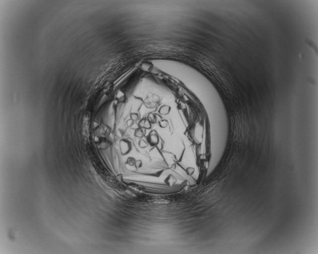 X0000099430598200806061021