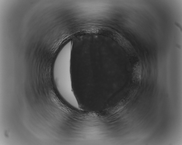 X0000099430600200806061021