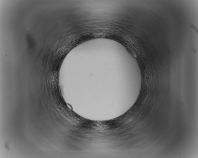 X0000099430601200806061021